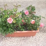 Feriegård La Rosa