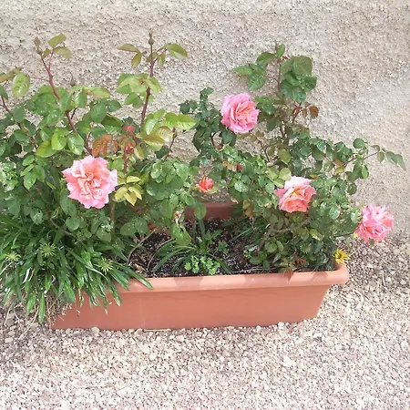 Séjour à la ferme La Rosa