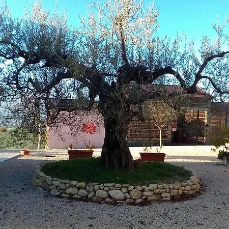 La Rosa