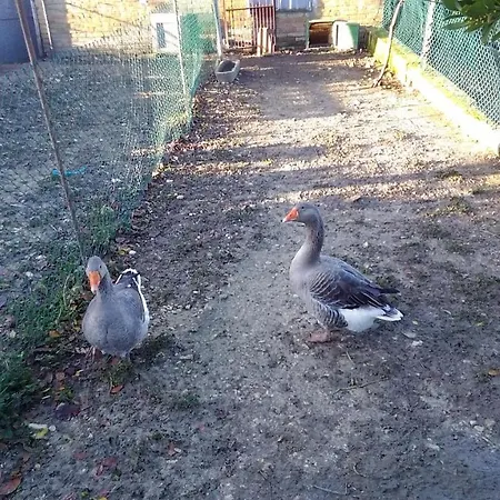 La Rosa Bauernhof Montefalco