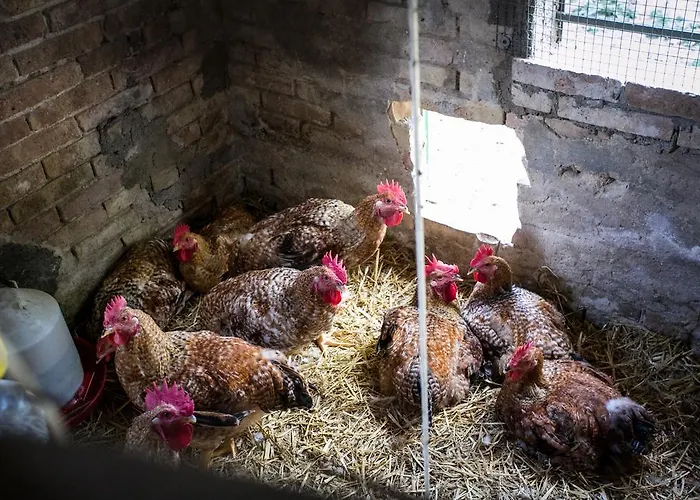 팜스테이 La Rosa